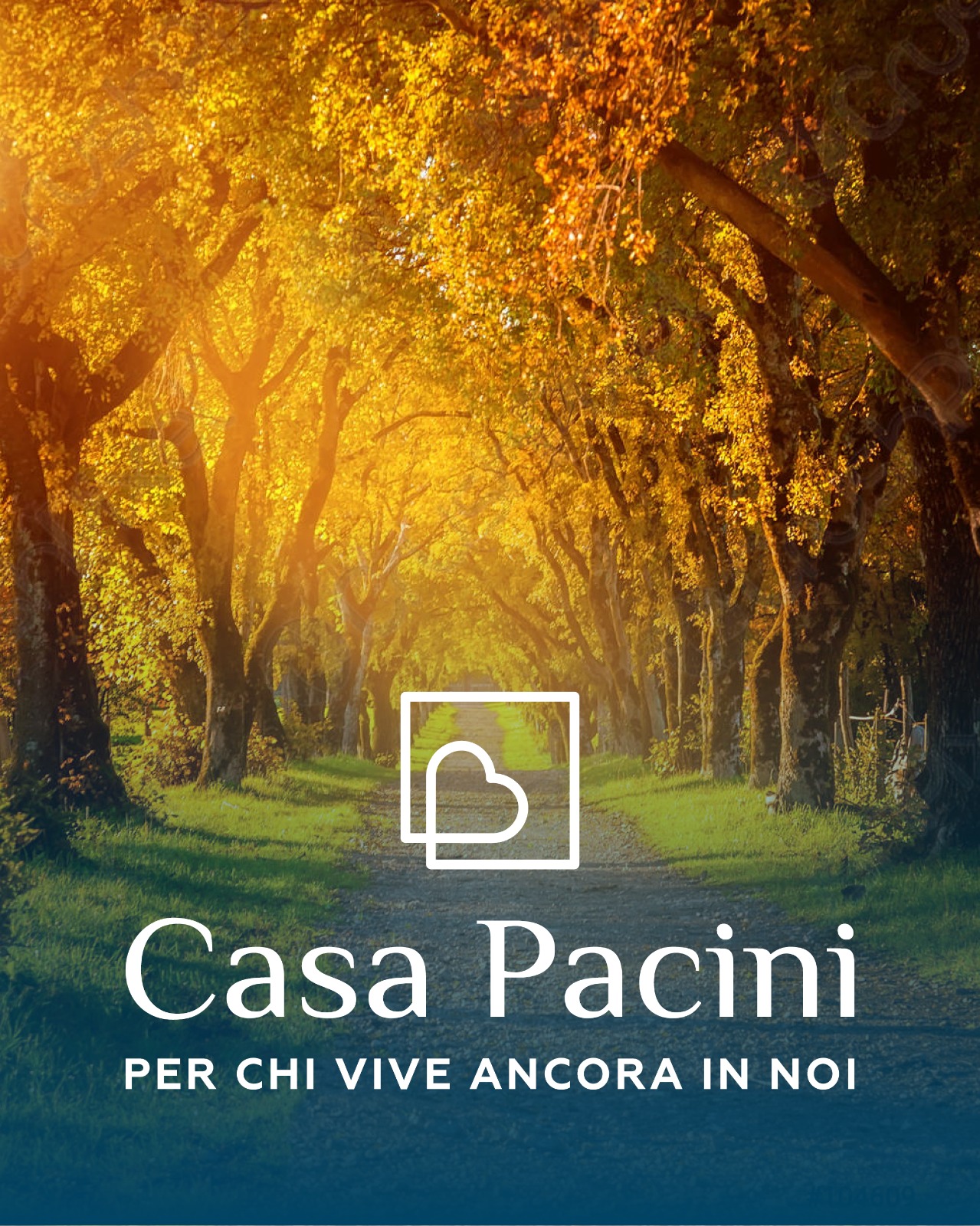 Casa Pacini